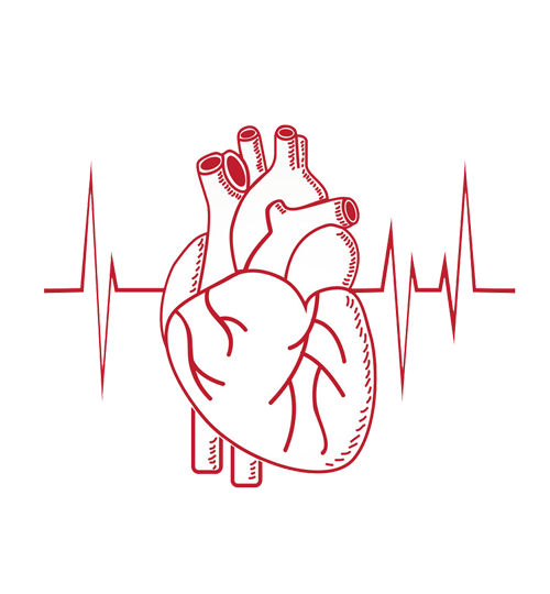 تصویر-قلب-