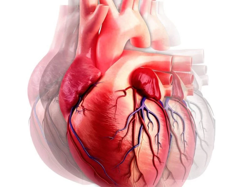 علائم و نشانه های سکته قلبی